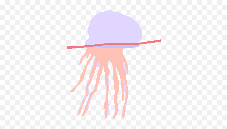 How The Fronds Fold - Jellyfish Png,Jellyfish Icon