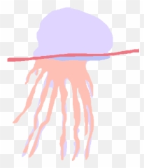 How The Fronds Fold - Jellyfish png