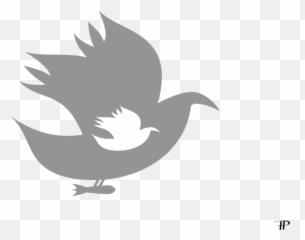 Download Paloma De La Paz - Perching Bird Png Image With No Portable Network Graphics,Paloma Png