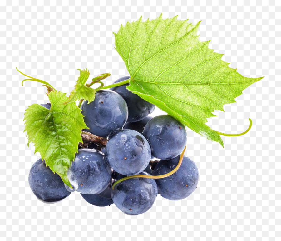 Free Png Grapes - Konfest,Grapes Png