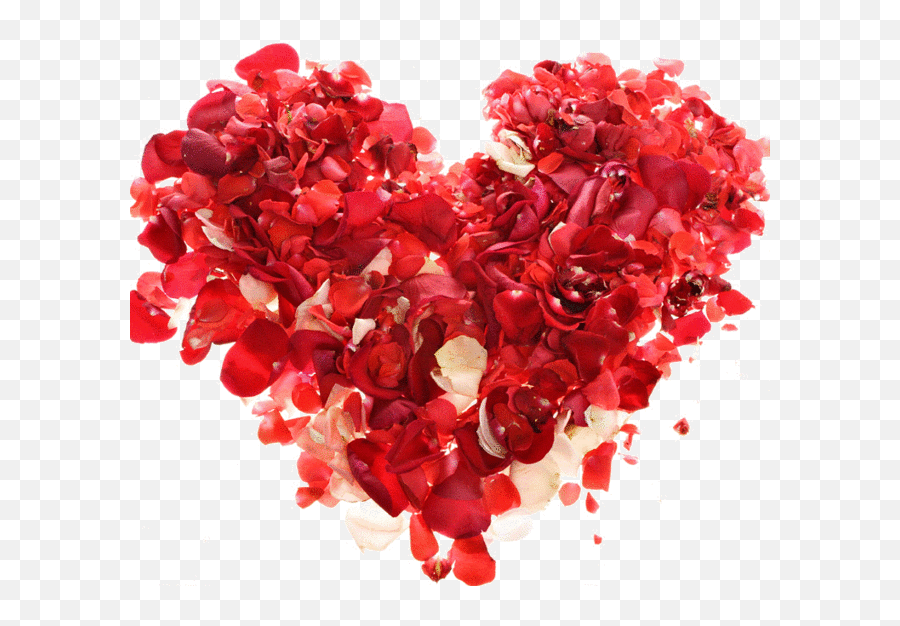 Rose Heart Transparent Png - Multumesc Tuturor Pentru Frumoasele Urari,Rose Heart Png