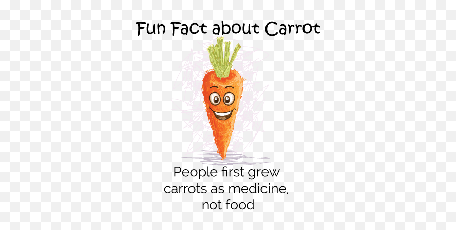 What Are The Health Benefits Of Carrot And When To Avoid It - Baby Carrot Png,Carrots Png