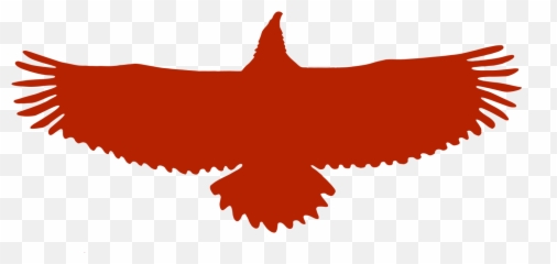 Index Of Imagesicons - Clipart Usa Eagle Logo Png,Red Bird Png