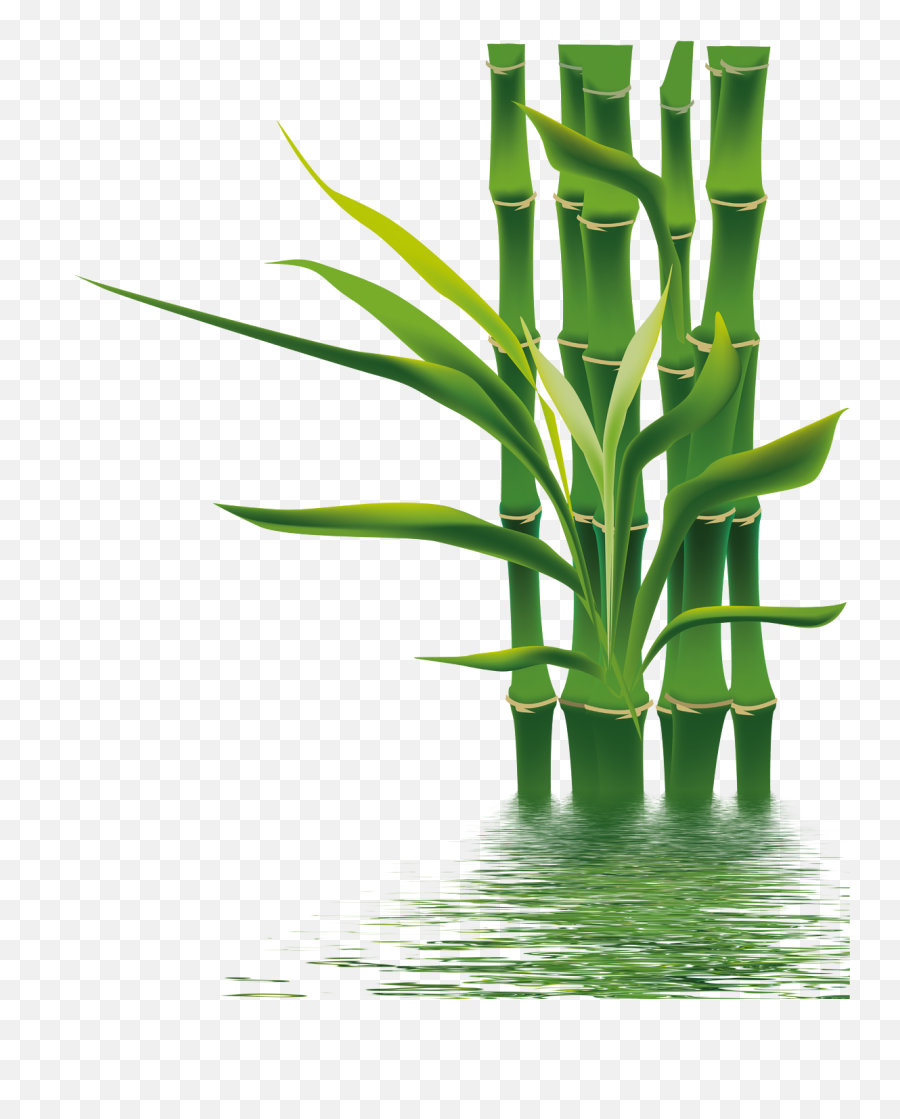 Bamboo Png - Wall Painting Bamboo Tree,Bamboo Transparent Background