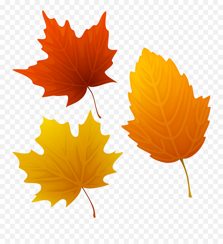 Download Autumn Leaves Cliparts Msr - 7 Autumn Leaves Autumn Leaves Clipart Png,Leaves Clipart Png