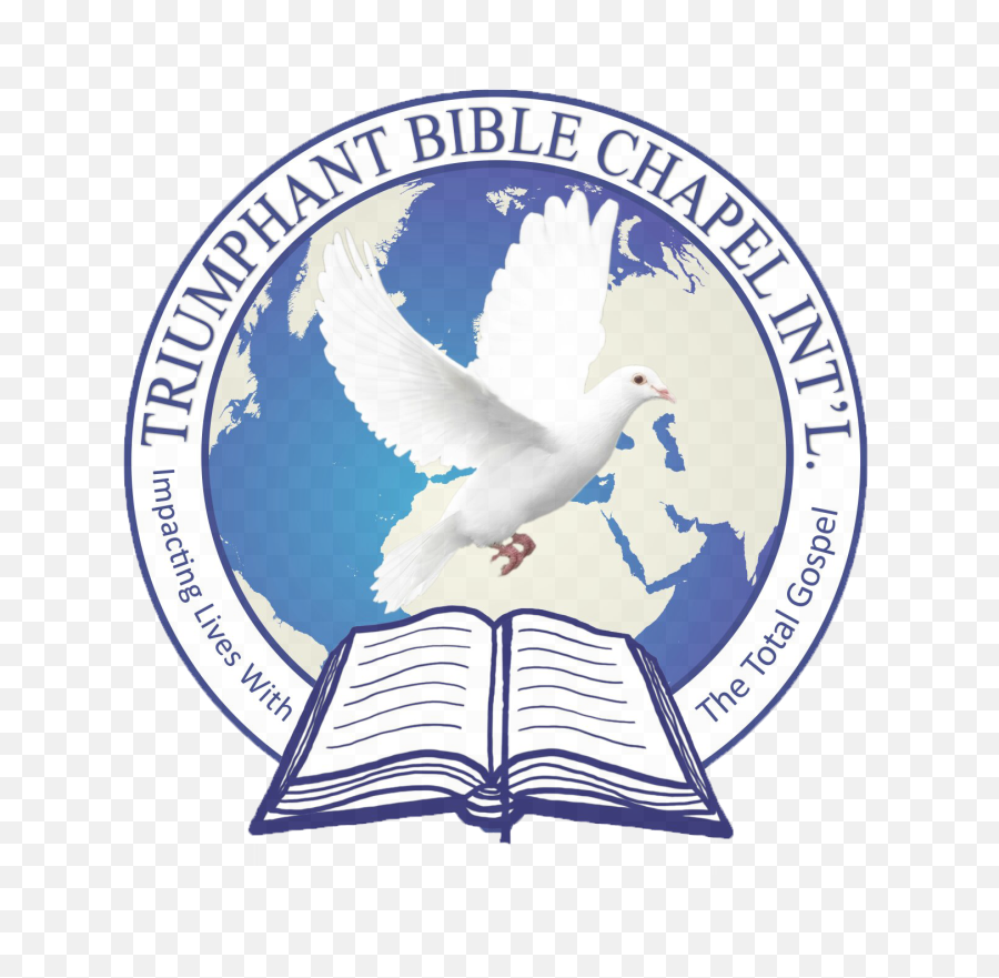 Tbci - European Herring Gull Png,Bible Logo