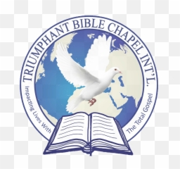 Tbci - European Herring Gull Png,Bible Logo