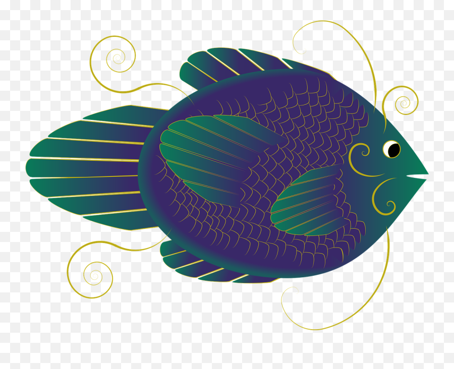 Fish Tropical Aquatic Life - Free Image On Pixabay Fallsview Tourist Area Png,Tropical Fish Png