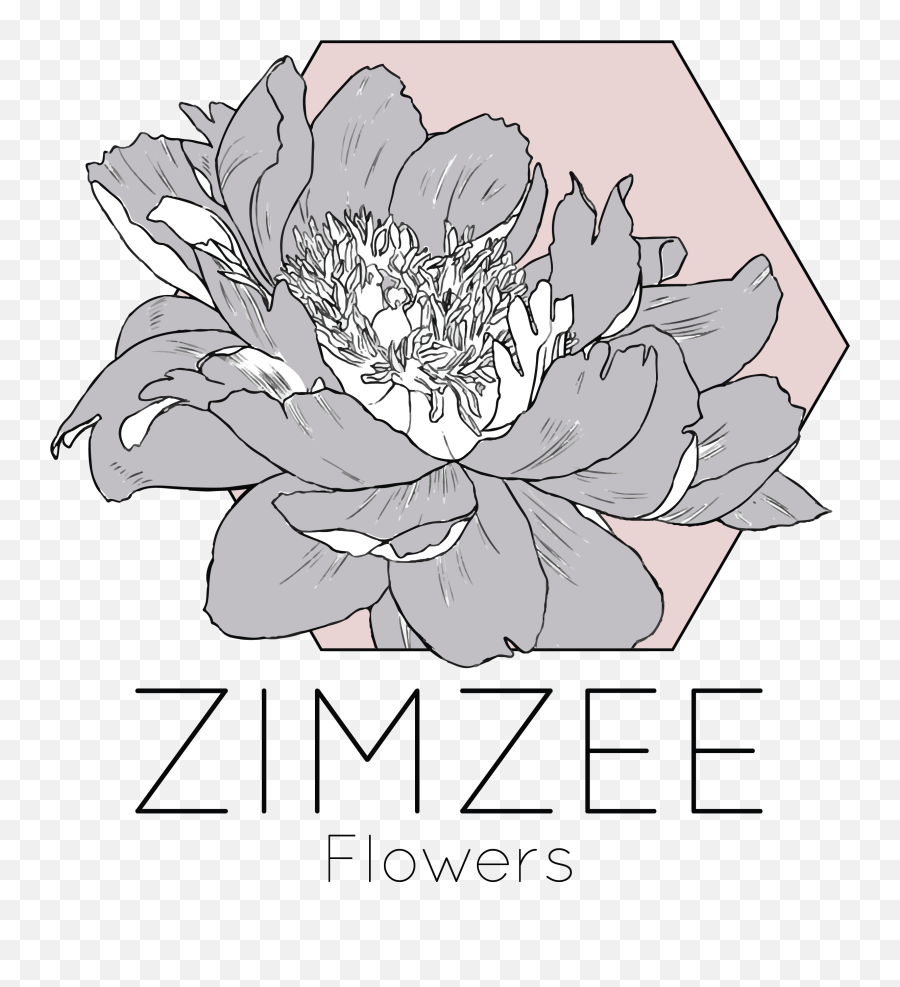 Zimzee U2013 Flowers - Chrysanths Png,Flowers Logo