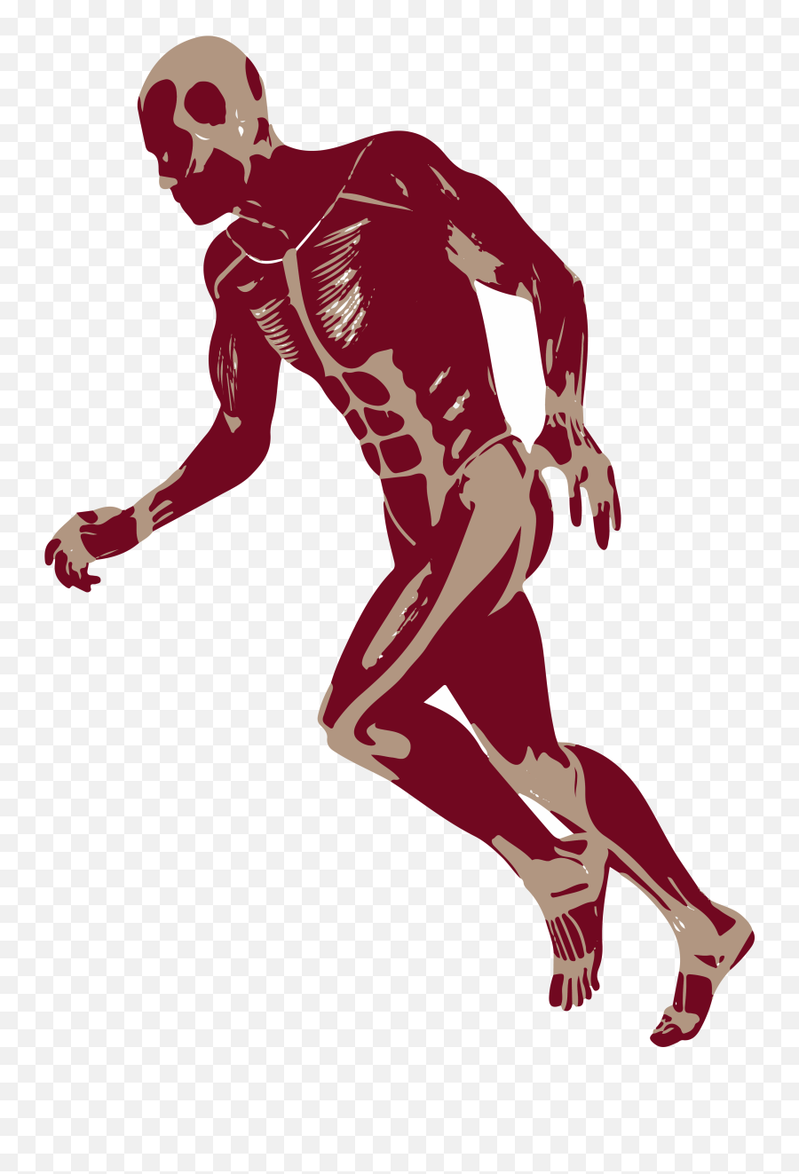 3d - Runningmanmusclesanatomyd Png01 Cornerstone Sports Man Running 3d Png,Medicine Png