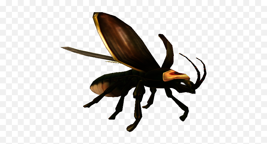 Impossible Creatures Game Wiki - Japanese Rhinoceros Beetle Png,Firefly Png