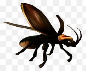 Free Transparent Firefly Png Images Page 2 Pngaaa Com - islands roblox fireflies wiki