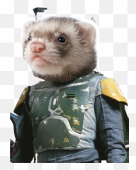 Download Hd Boba Ferret - Boba Fett Transparent Png Image Boba Fett,Ferret Png