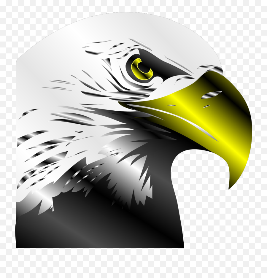Bald Eagle Png Svg Clip Art For Web - Download Clip Art Accipitriformes,Bald Eagle Png
