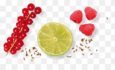 Limon Cress - Key Lime Png,Limon Png