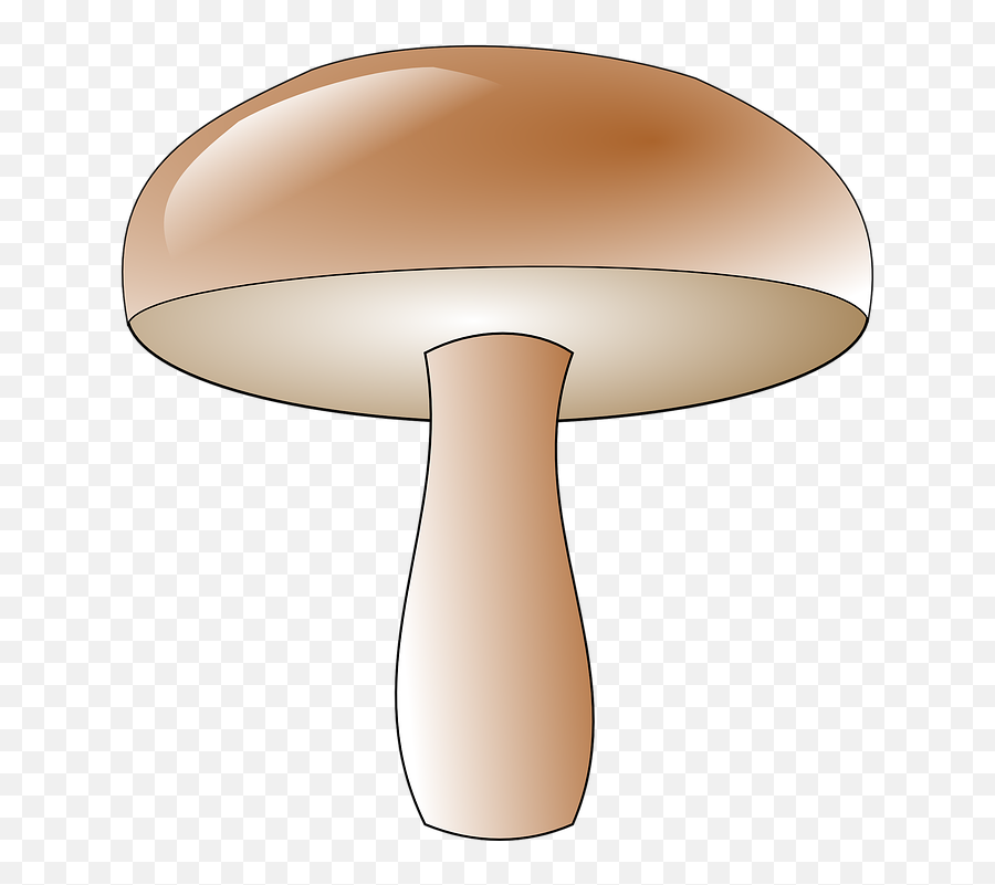 Mushroom Toadstool Fungus - Mushroom Clip Art Png,Toadstool Png