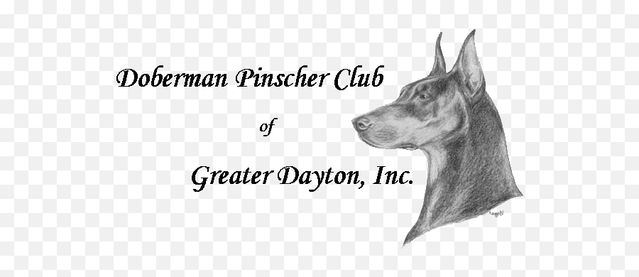 Doberman Pinscher Club Of Greater Dayton U2013 Ohio Dpca - Adept Designs Pvt Ltd Png,Doberman Png