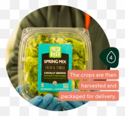 Why Crop One U2014 - Food Png,Crops Png