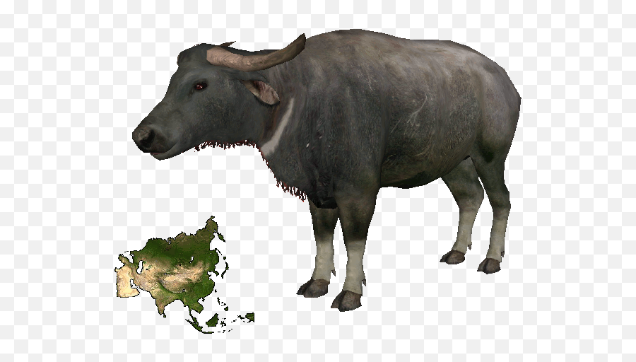 Download Zt2 Water Buffalo Hd Png - Uokplrs Portable Network Graphics,Buffalo Png