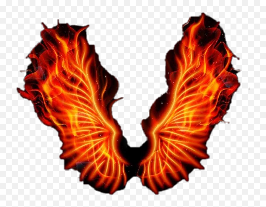 Freetoedit Fire Wings Firey Sticker By Maddie Carter - Fire Phoenix In Black Background Png,Fire Wings Png