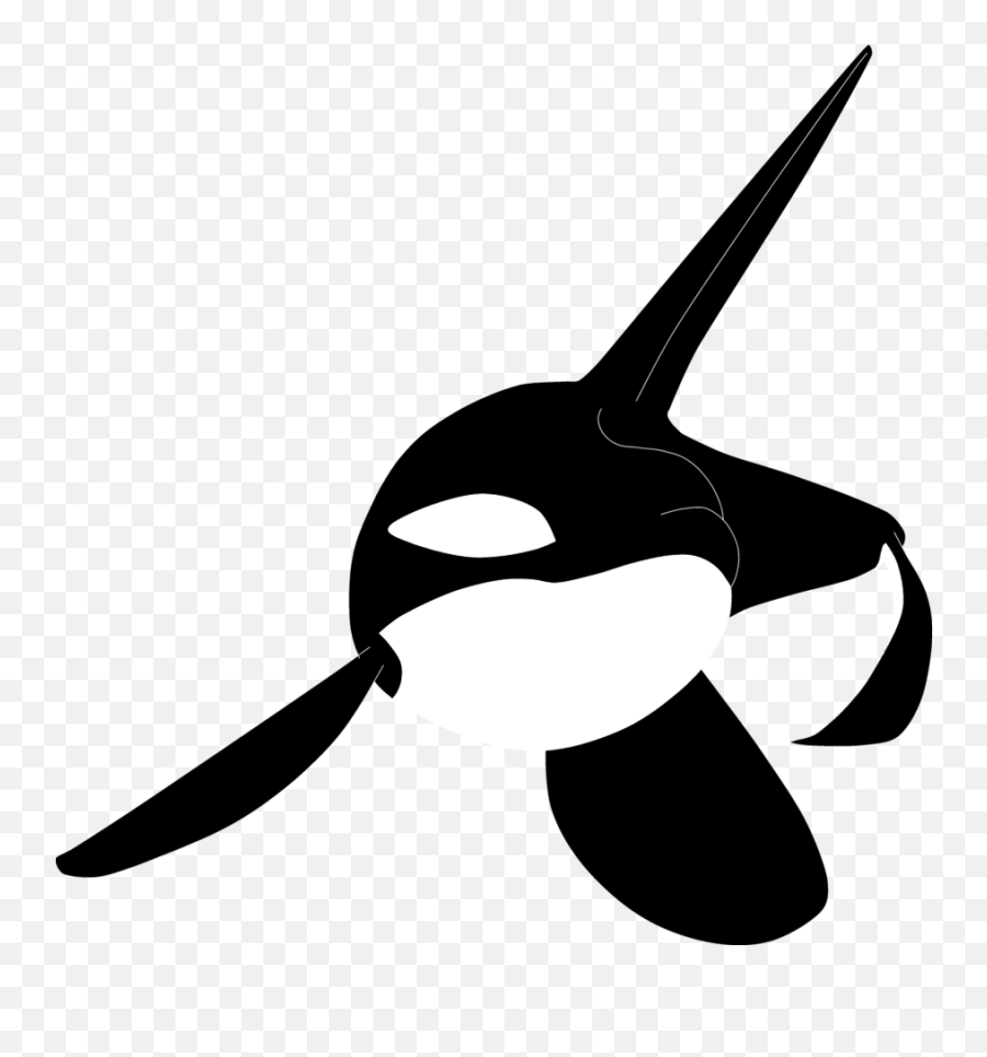 Killer Whale Tattoo Flash - Black Sketch Png Download 900 Transparent Killer Whale Silhouette,Killer Whale Png