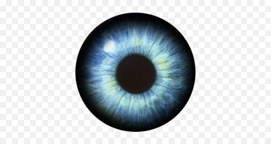 Download Free Png Eye - Eyesbackgroundtransparent Dlpngcom Blue Eyes Transparent Background,Eyeball Transparent Background
