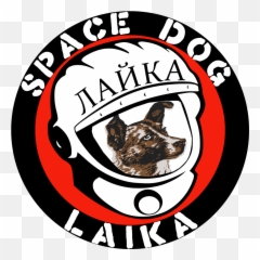 Gun Related U2013 Spacedoglaika - Automotive Decal Png,Armalite Logo