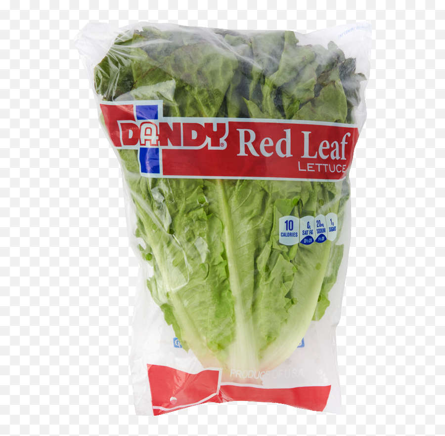 Red Leaf Lettuce - Superfood Png,Lettuce Transparent