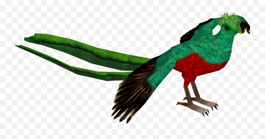 Resplendent Quetzal - Pet Birds Png,Quetzal Png