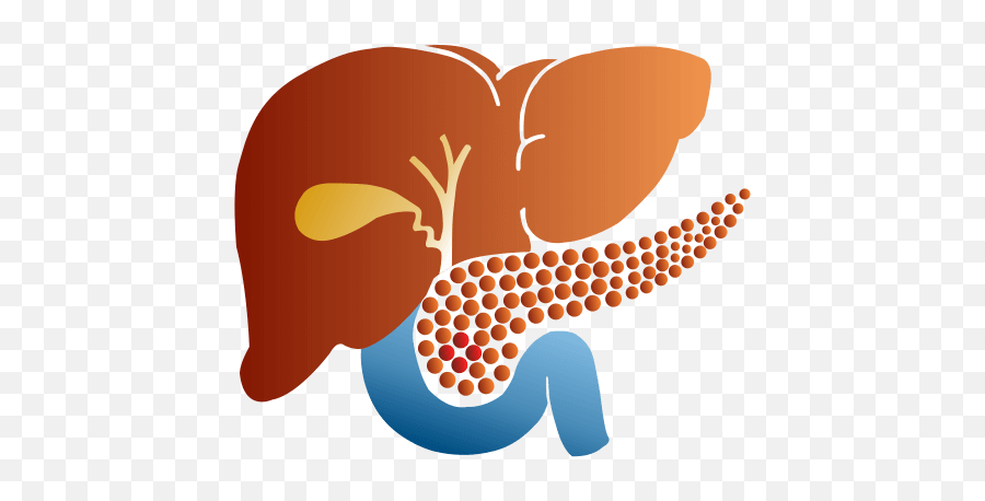 Contact Dr Manish Gandhi - Gi Surgery Icon Png,Liver Icon