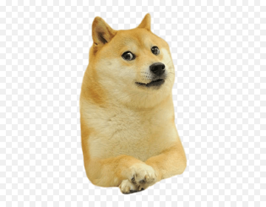 Funniest Meme Faces - Doge Png,Lol Cat/dog Icon