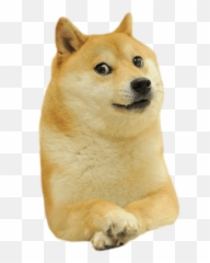 Funniest Meme Faces - Doge Png,Lol Cat/dog Icon