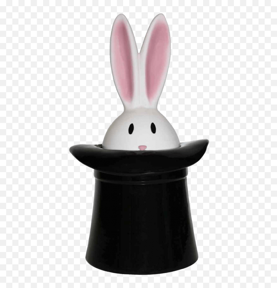 Free Png Rabbit Hat Image - Magic Rabbit Cookie Jar Cookie Jar,Peter Rabbit Png