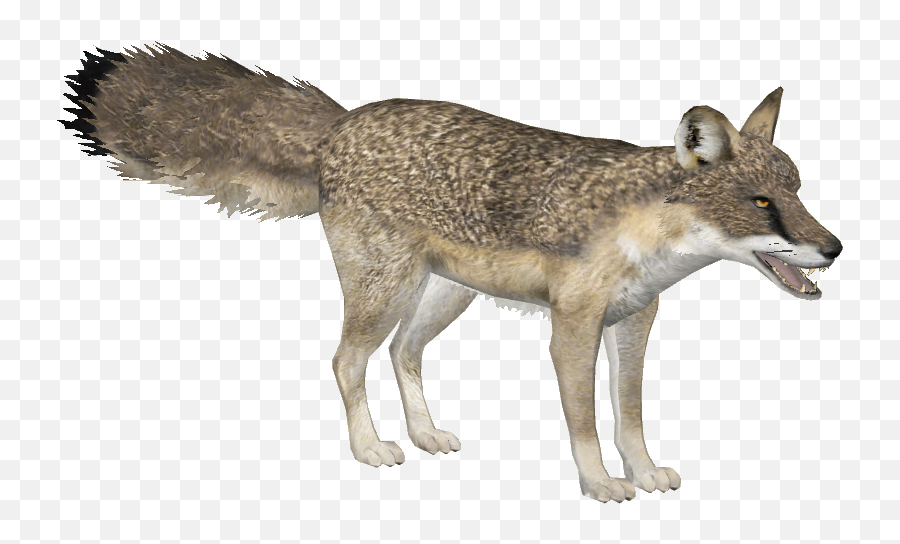 Ice Age Pack - Zoo Tycoon 2 Forumsclub Gray Fox Png,Zoo Tycoon 2 Icon