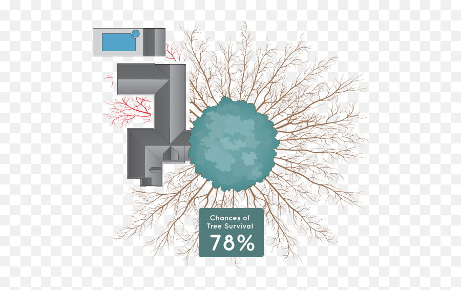 Home Treematrix - Motif Png,Tree Plan Png