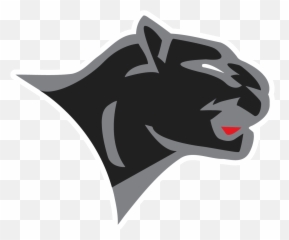 News Mary E Dardess Elementary School - Chatham Panthers png