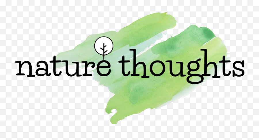 Nature Thoughts - Tree Png,Png Tree.com