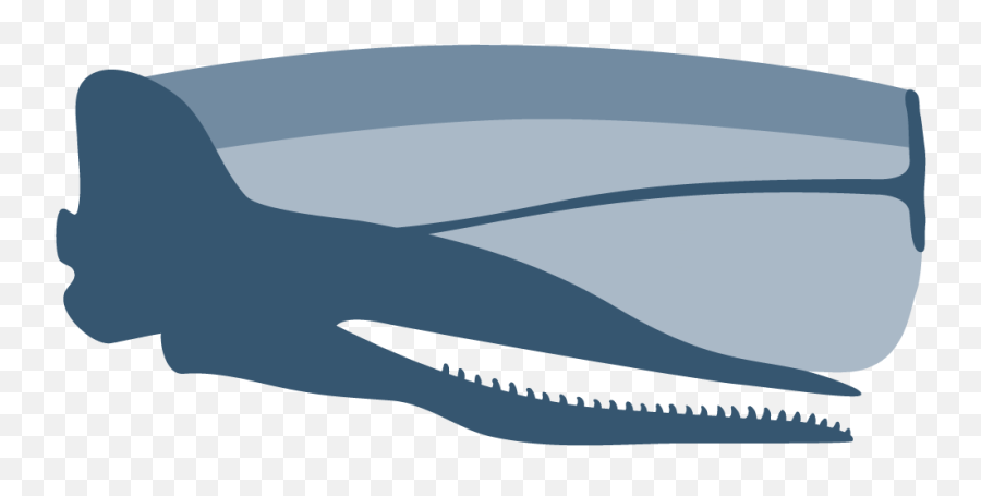 Sperm Whales - Seaswap Sketch Png,Whale Icon