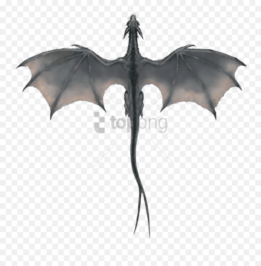 Download Free Png Gray Dragon Image - Flying Game Of Thrones Dragons,Game Of Thrones Dragon Png