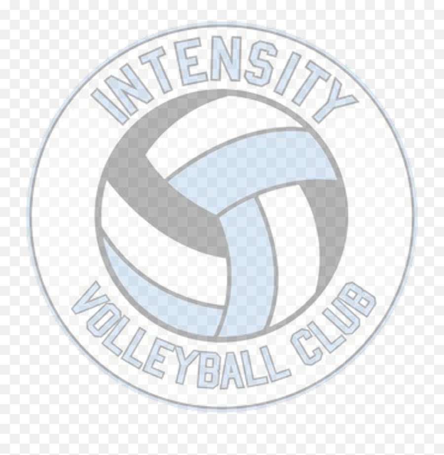 Intensity Volleyball Club - Bull Island Png,Icon Mizuno Volleyball Club