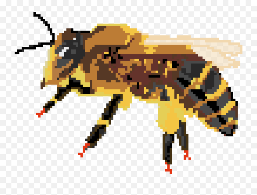Bff Bexthehexx - Honeybee Png,Wasp Png