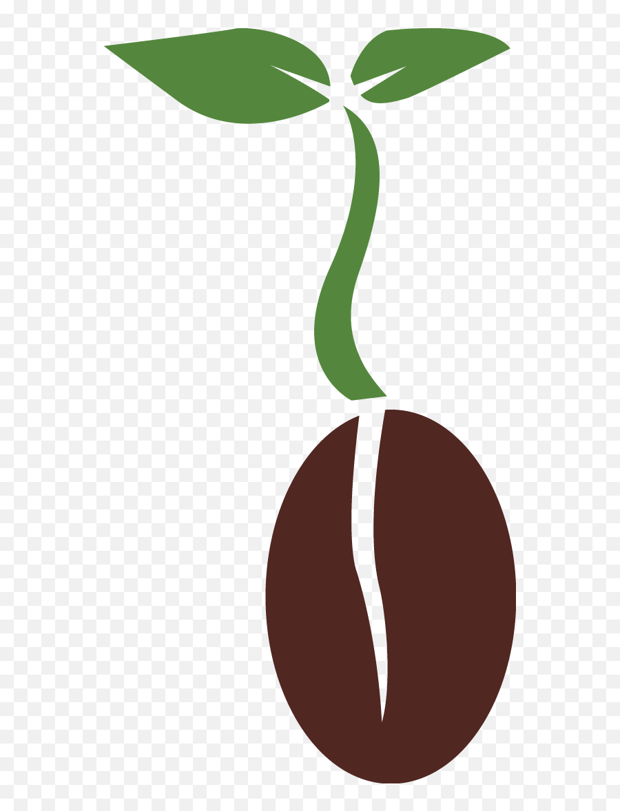 Seed Png Clipart
