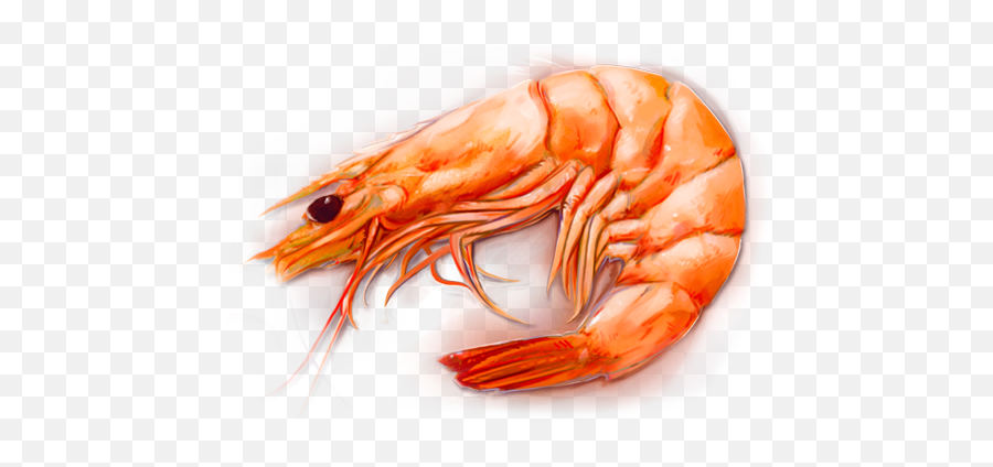 Png Shrimp 4 Image - Shrimps Meaning In Hindi,Shrimp Png