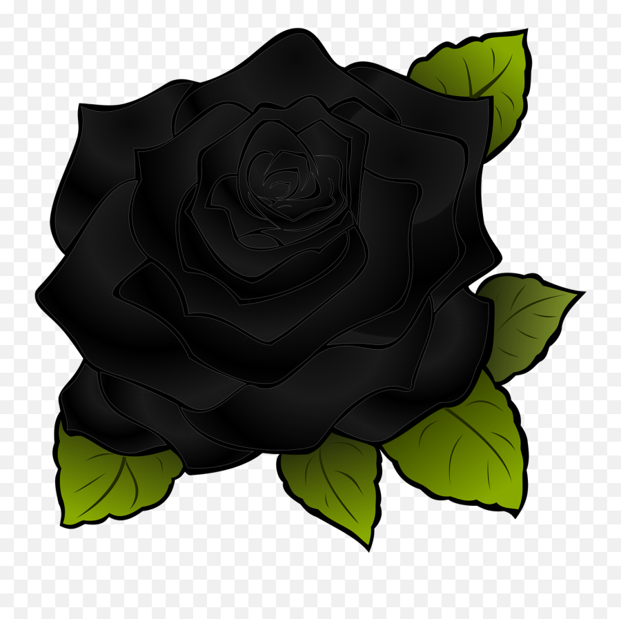 Rosa Flower Black - Flower Rose Png,Black Flower Png