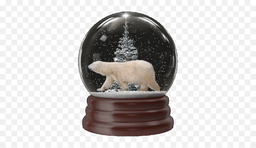 Polar Bear Snowglobe Gif - Polar Bear Png,Transparent Snow Gif