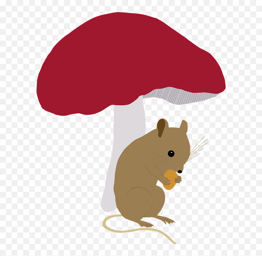 Field Mouse Under Toadstool Clipart - Rat Png,Toadstool Png