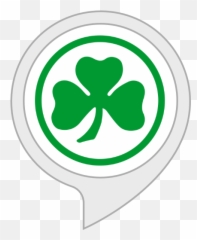 Amazoncom Irish Flute Alexa Skills - Spvgg Greuther Fürth png