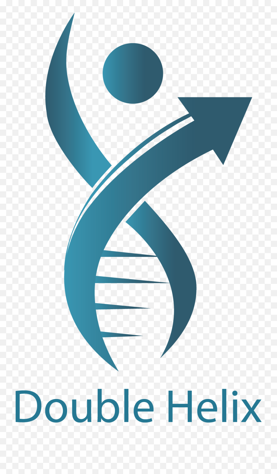 Human Dna Vector Png Double Helix