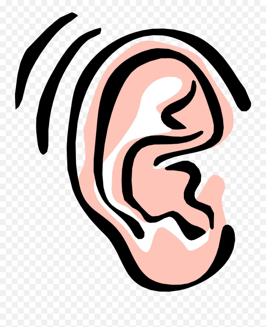 Transparent Clipart Ear - Ear Clipart Png,Ear Transparent Background