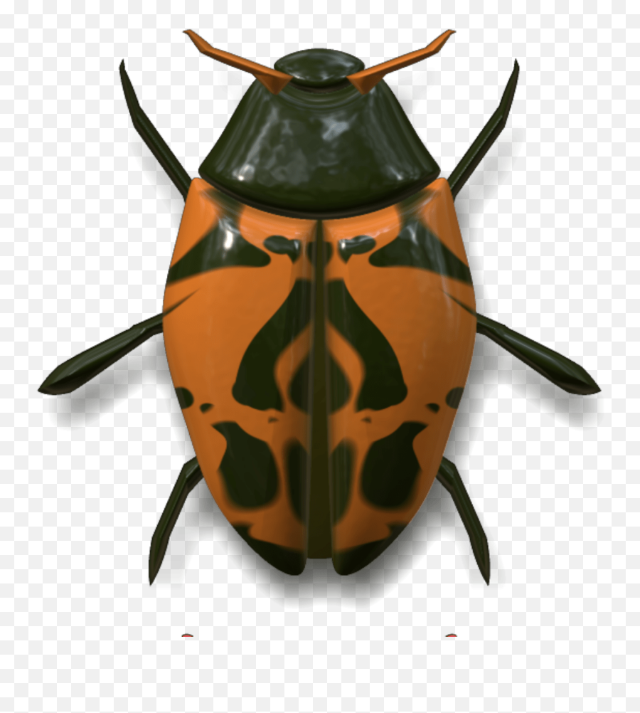 Ladybug Dark Green And Orange Transparent Png - Stickpng Green Orange Bug Png,Lady Bug Png